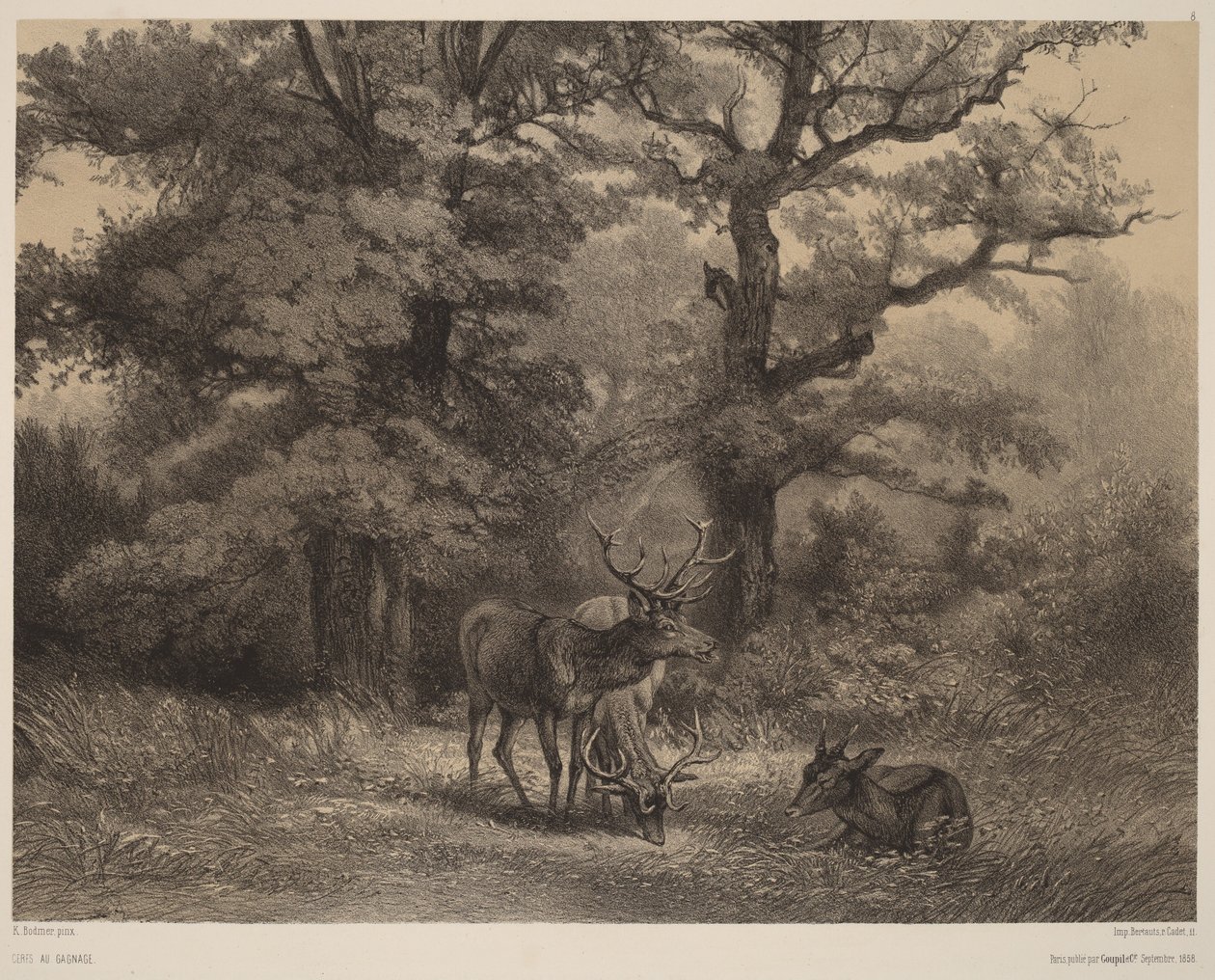 Veados a pastar de Karl Bodmer