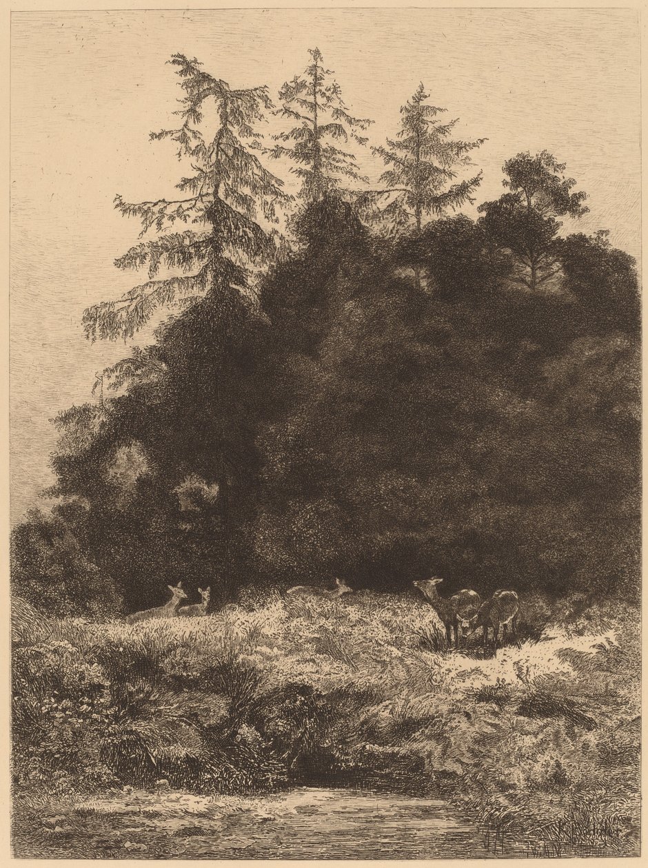 Gamo em um parque de Karl Bodmer
