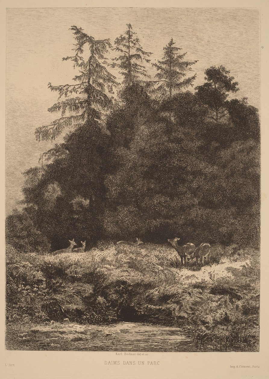 Gamos num parque de Karl Bodmer