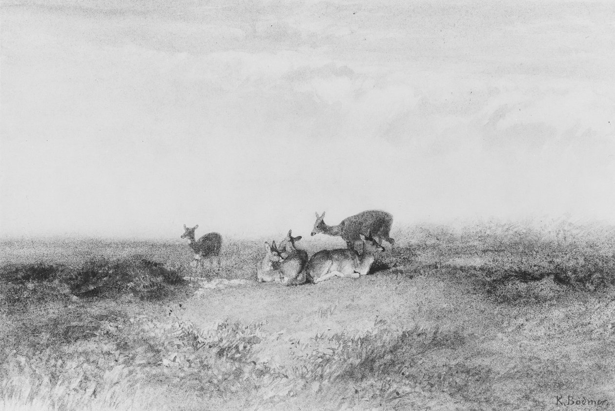 Veado numa paisagem de Karl Bodmer
