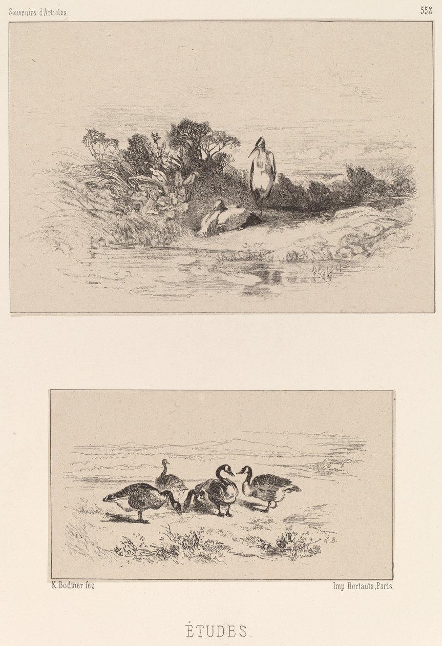 Estudos. de Karl Bodmer