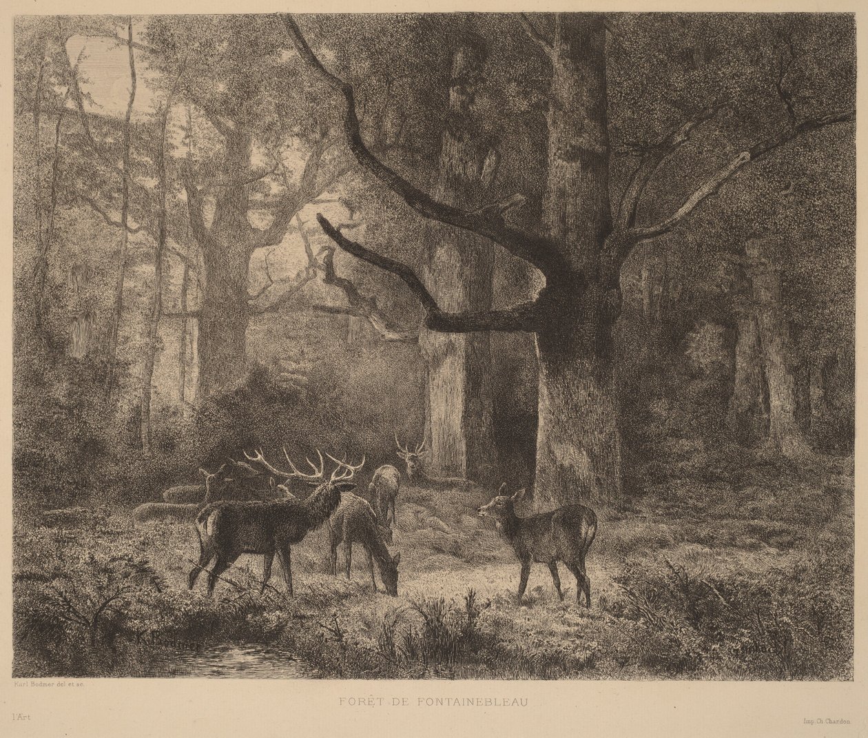 Floresta de Fontainebleau de Karl Bodmer