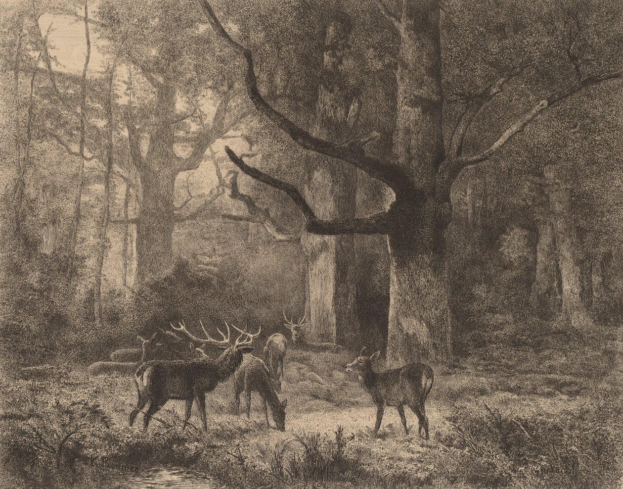 Floresta de Fontainebleau. de Karl Bodmer