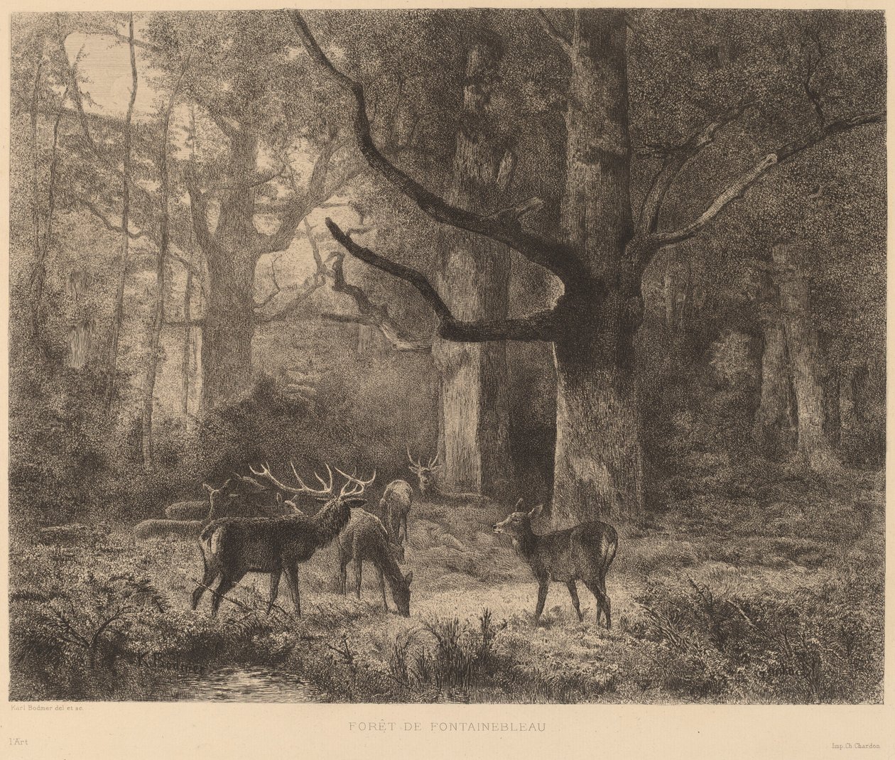 Floresta de Fontainebleau de Karl Bodmer