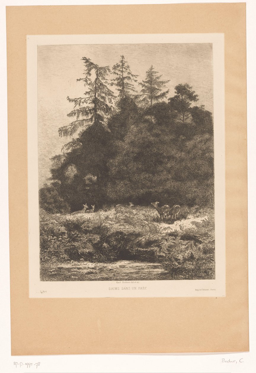 Cervos à beira de uma floresta Daims dans un parc (título no objeto) de Karl Bodmer