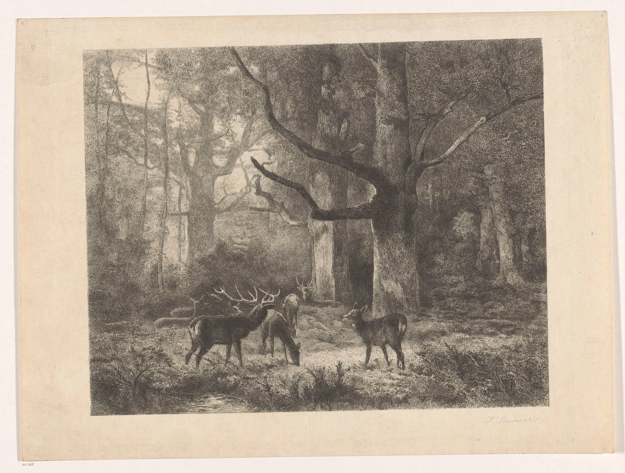 Veado numa floresta de Karl Bodmer