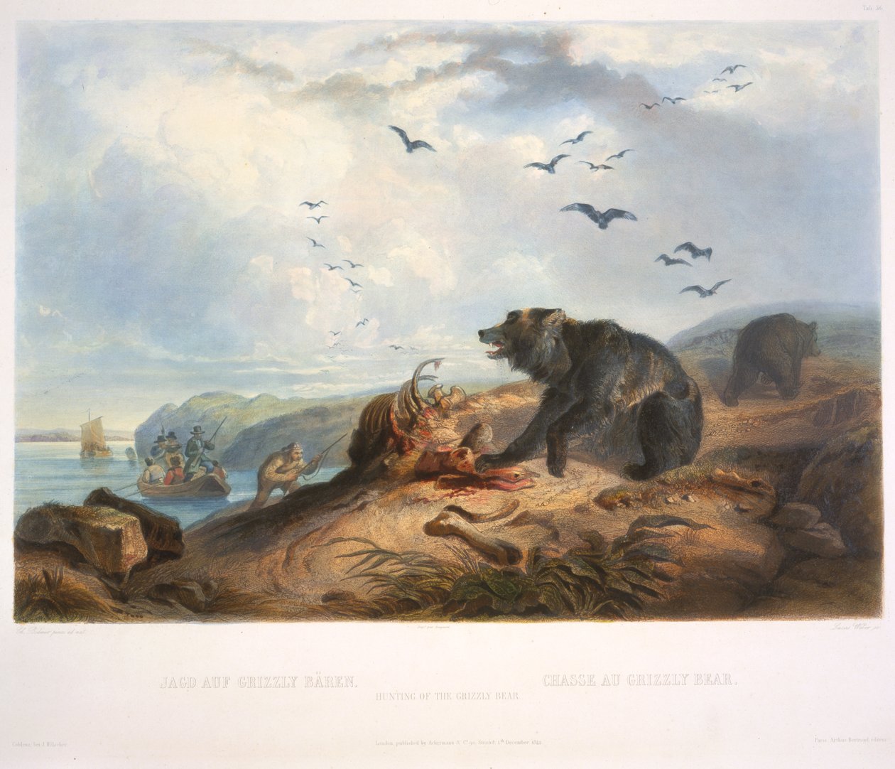 Caça ao Urso Pardo de Karl Bodmer