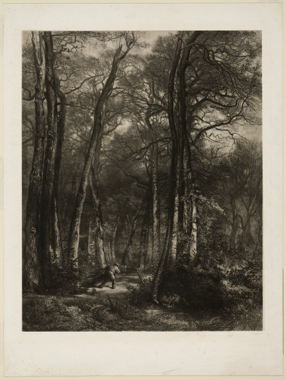 Na floresta de Karl Bodmer