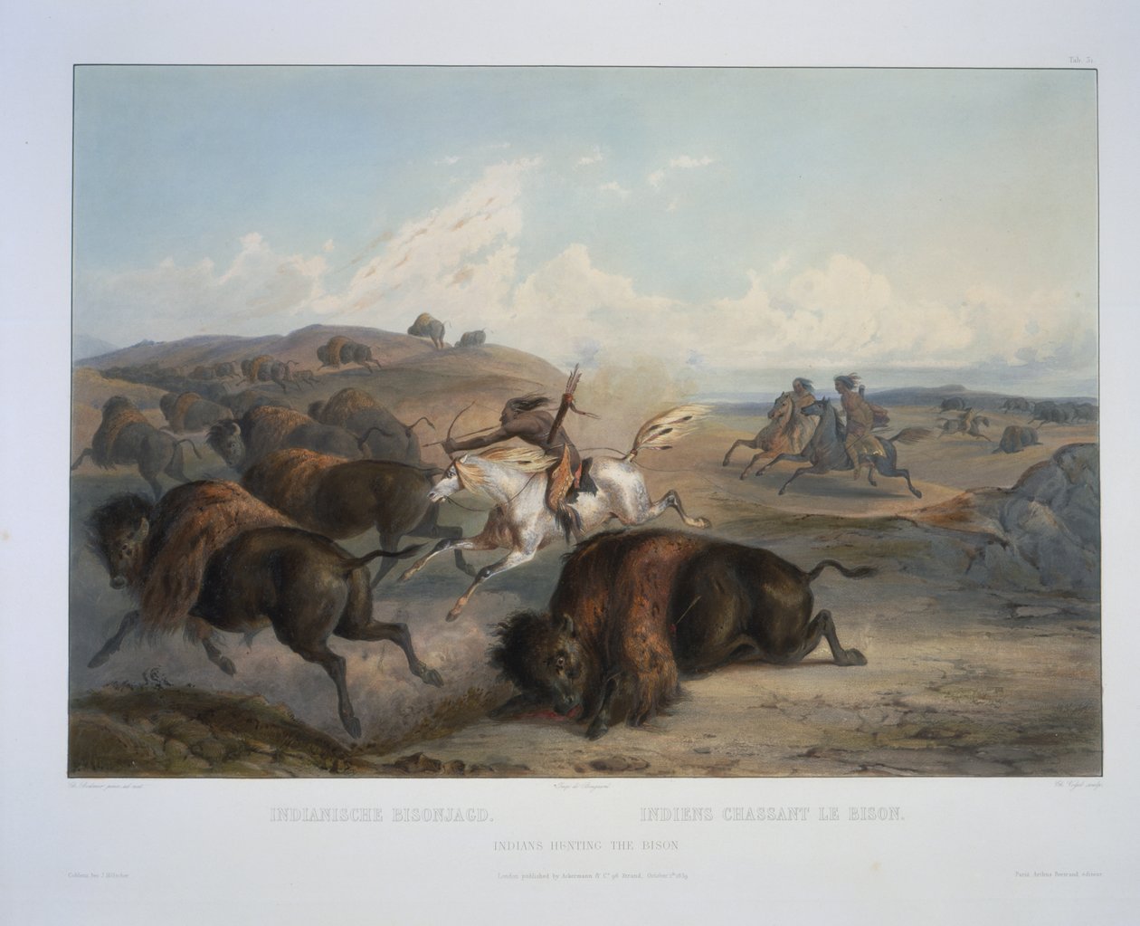 Índios que caçam o bisonte de Karl Bodmer
