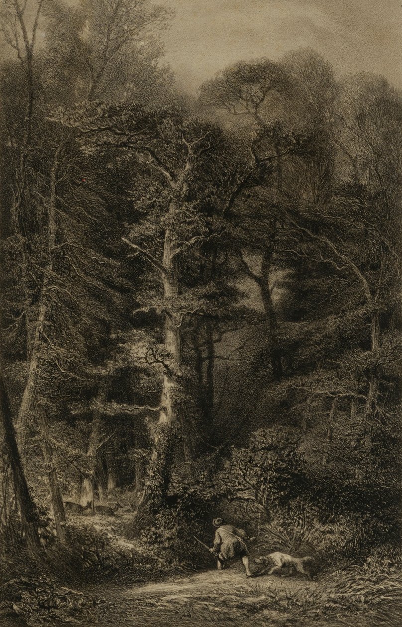Interior da floresta de Karl Bodmer