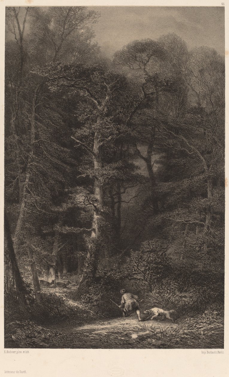 Interior da Floresta de Karl Bodmer