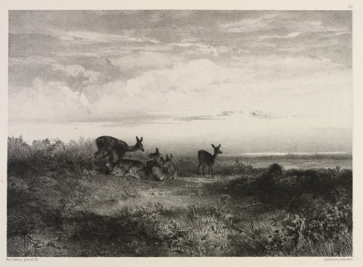 Paisagem com veados de Karl Bodmer