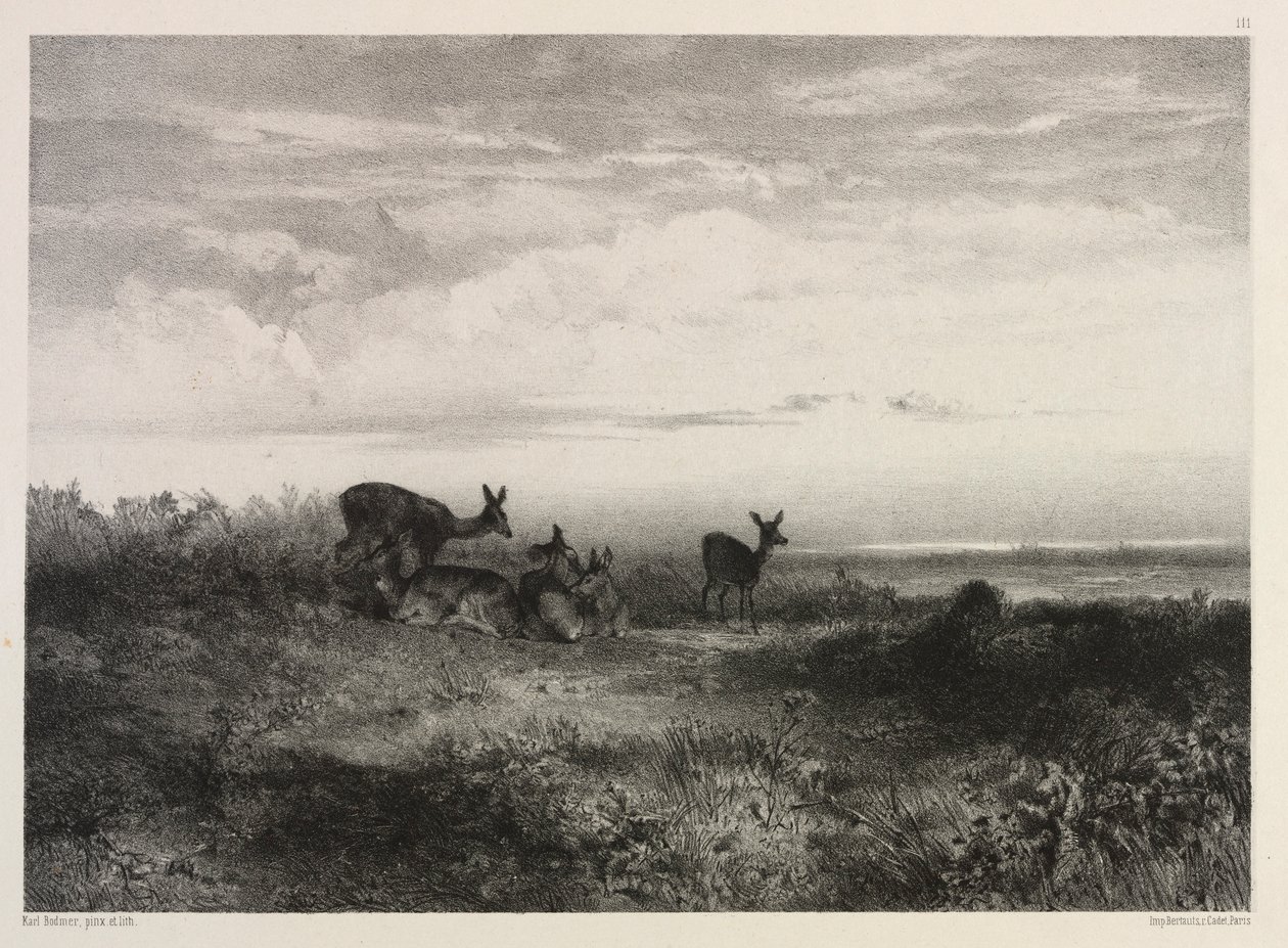 Paisagem com veados, c. 1840 de Karl Bodmer
