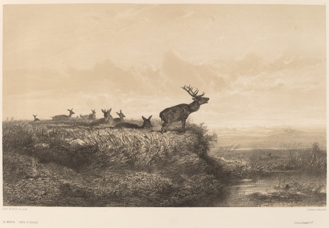 Le Matin. de Karl Bodmer