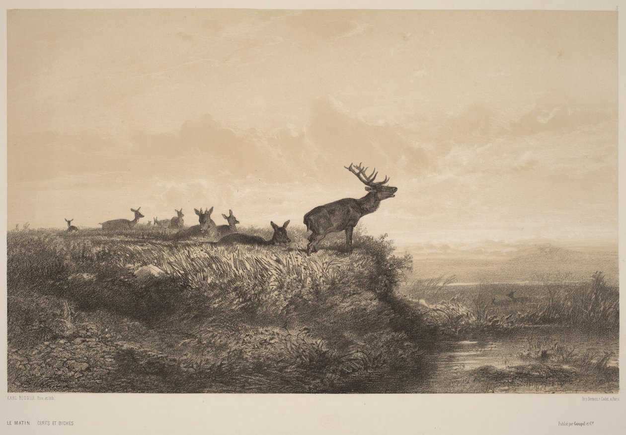 A manhã de Karl Bodmer