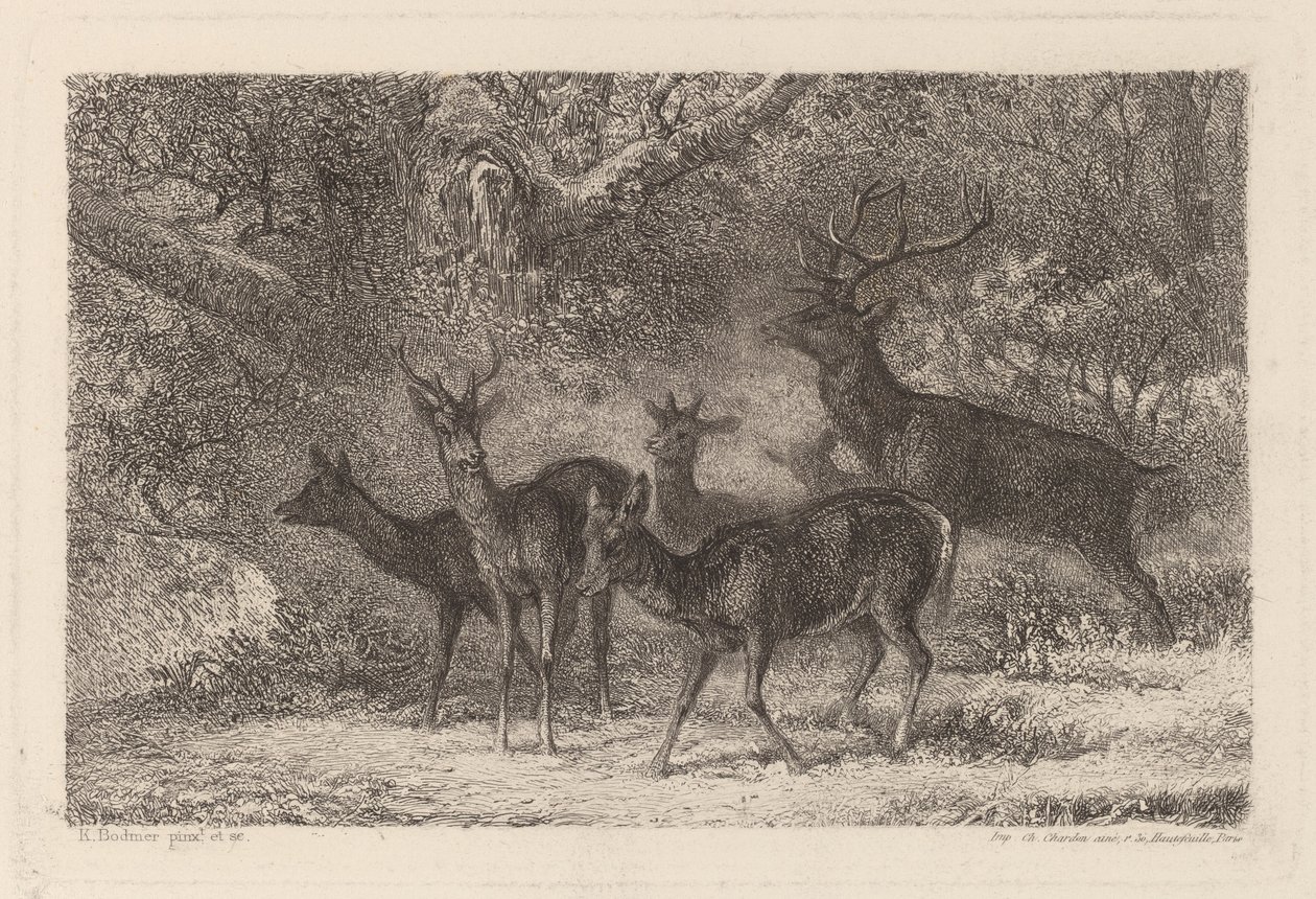 a manada de Karl Bodmer