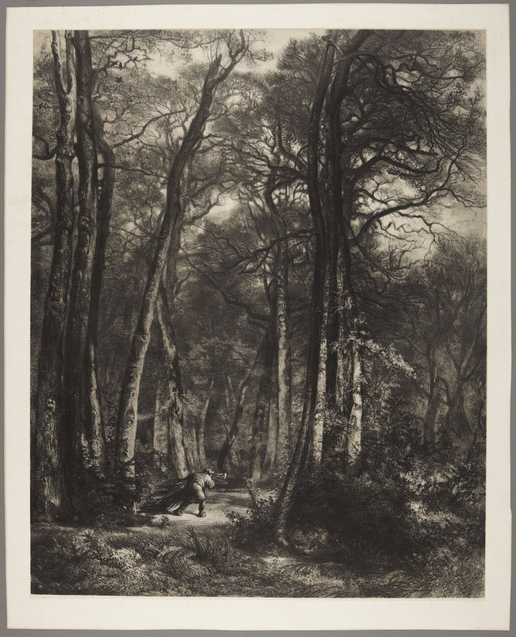 O Homem na Floresta de Karl Bodmer