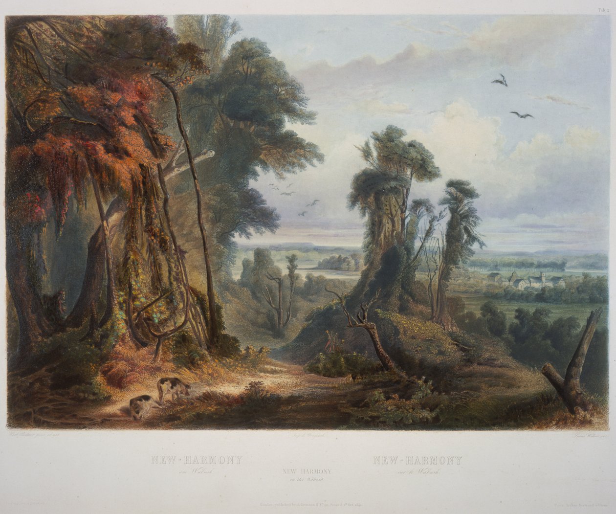 Nova Harmonia no Wabash de Karl Bodmer