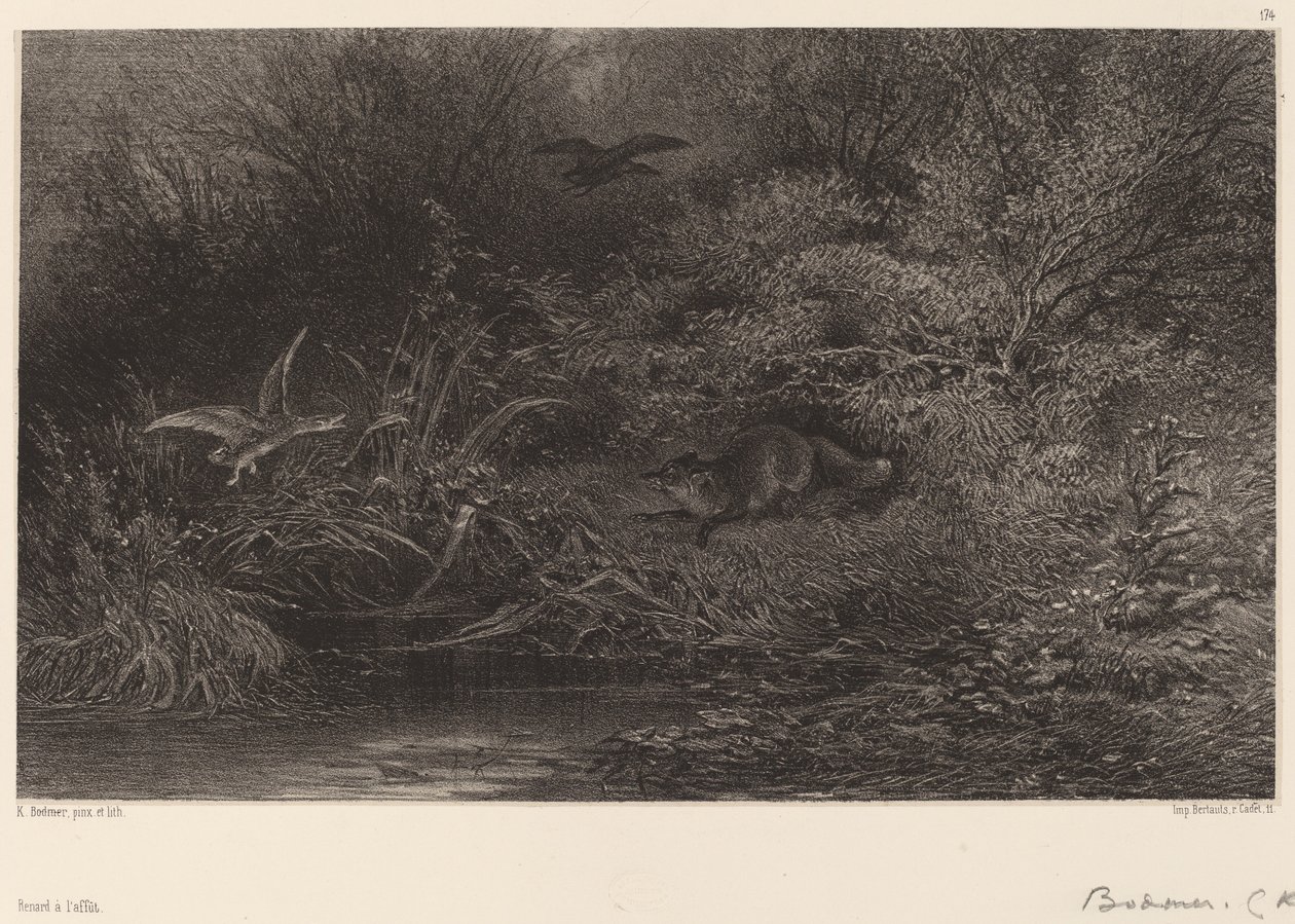 Raposa à espreita de Karl Bodmer
