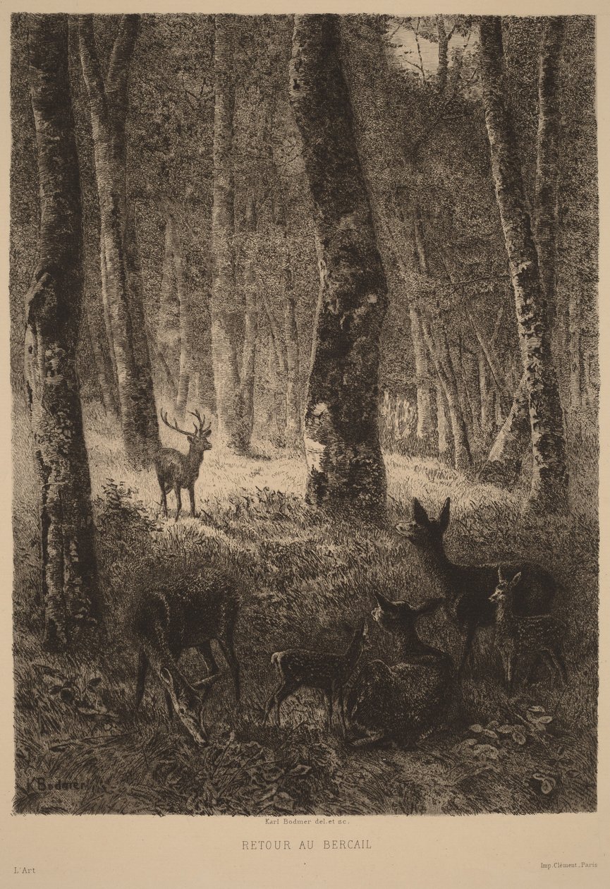 Regresso ao redil de Karl Bodmer