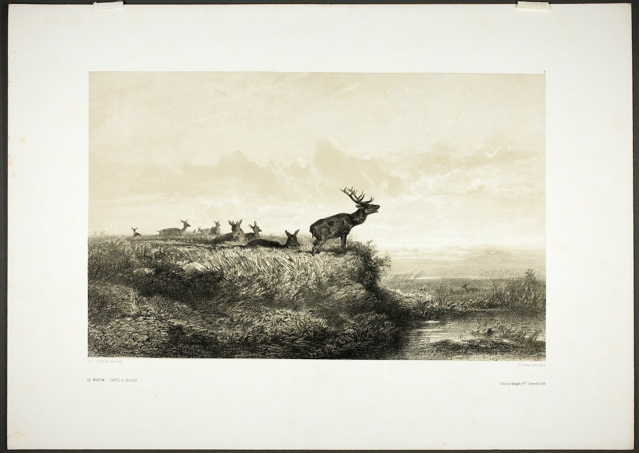 A manhã: Cães e veados de Karl Bodmer
