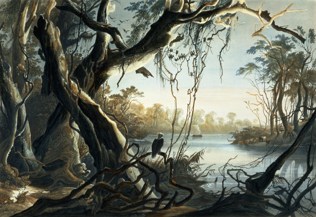 A Foz do Rio Fox, Indiana, placa 5 do Volume 2 de "Viagens no Interior da América do Norte", gravada por Sigismond Himely (1801-72) 1844 (aquatint) de Karl Bodmer