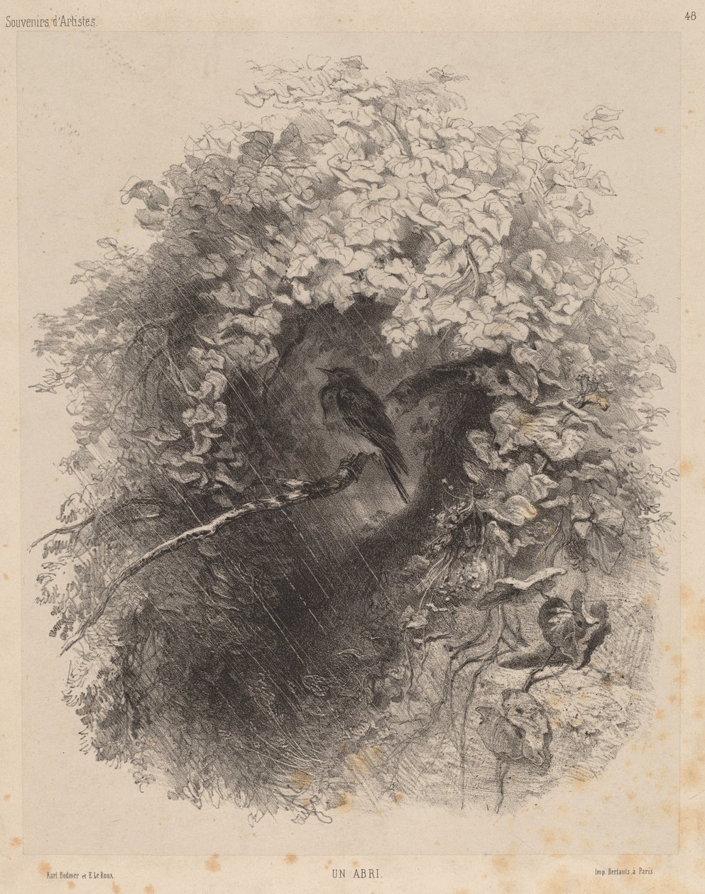 Um Abrigo de Karl Bodmer