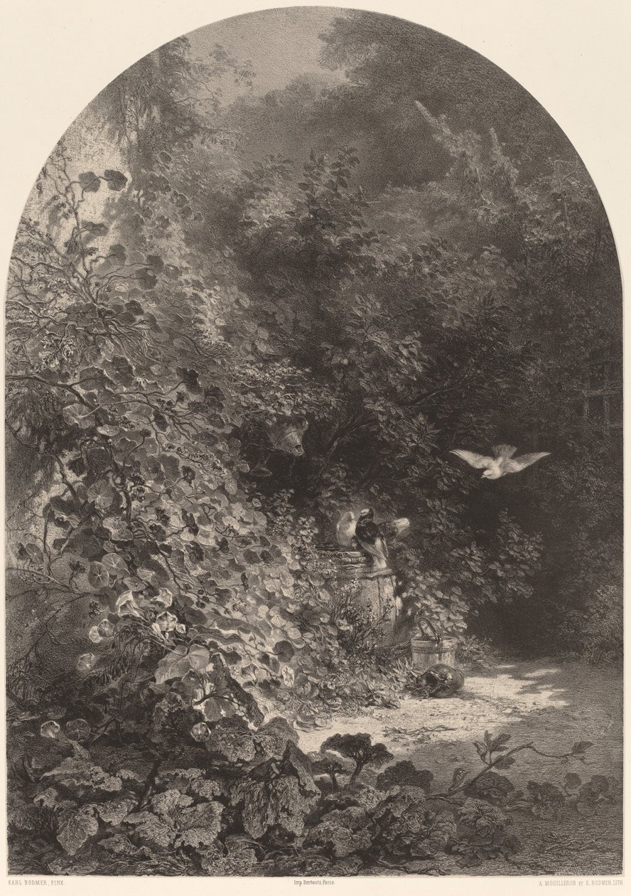 Um canto do jardim de Karl Bodmer