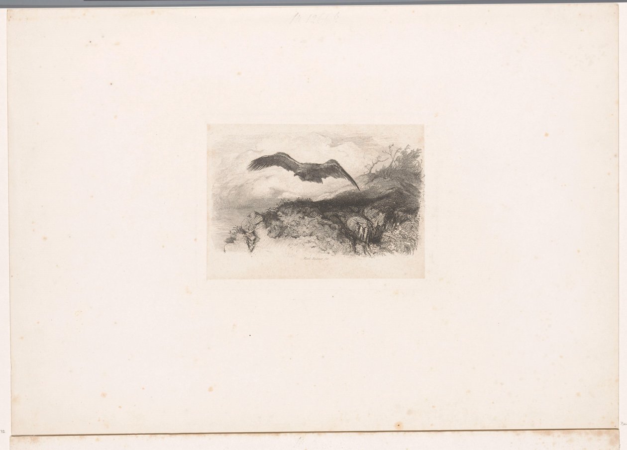 Águia voadora
Paisagens com animais (título da série) de Karl Bodmer