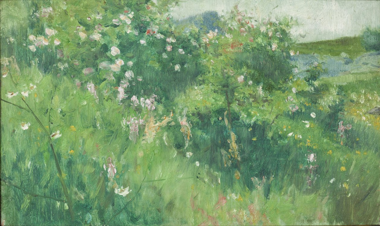 Briar-Rose Bushes florescendo na ilha de Tjörn de Karl Fredrick Nordstrom