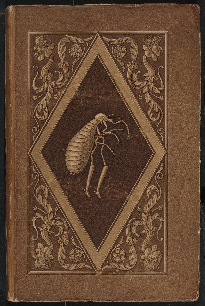 pulga mestre. Um Conto de Fadas em Sete Aventuras de Dois Amigos (Mestre Flea: Um Conto de Fadas em Sete Aventuras de Dois Amigos de Karl Friedrich Thiele, Ernst Theodor Amadeus Hoffmann
