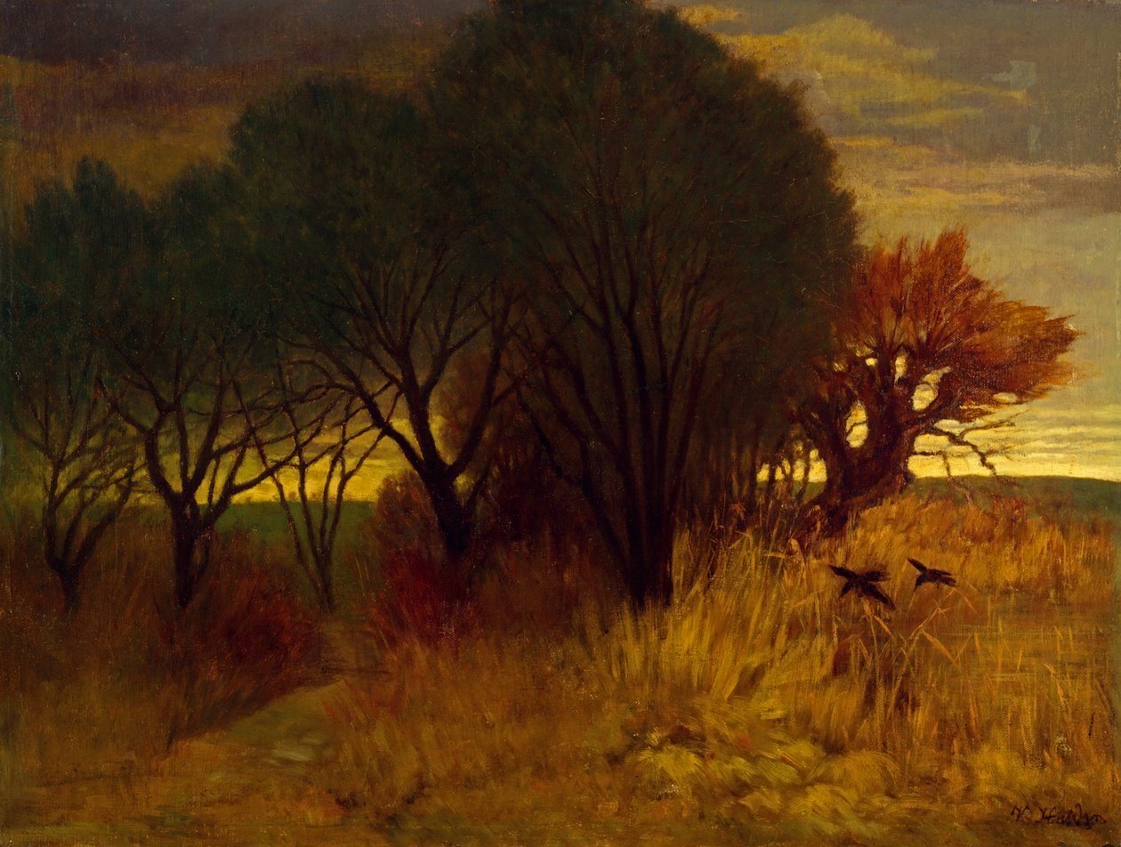 Moorlandschaft de Karl Haider