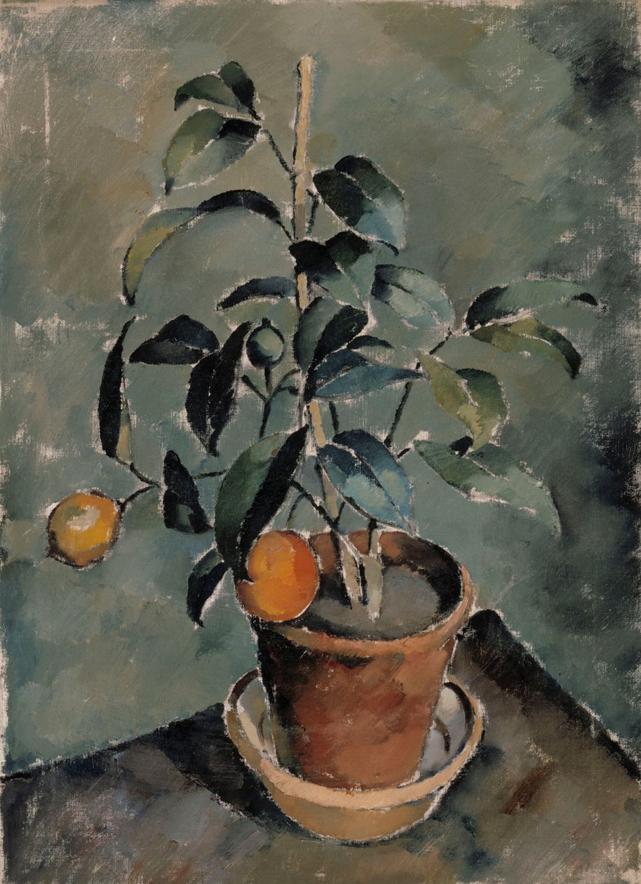 Planta de laranja de Karl Isakson