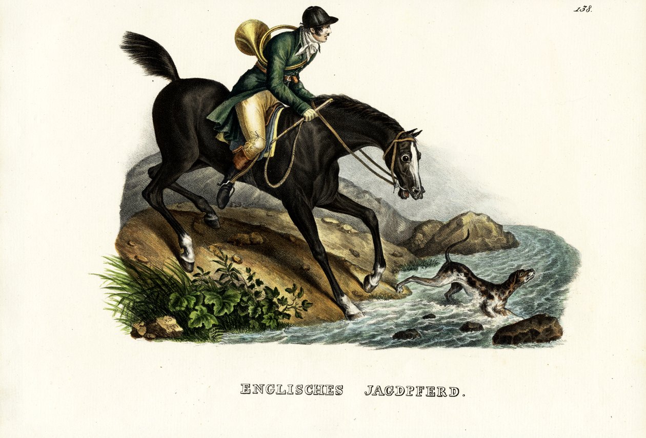 Cavalo inglês do caçador, 1824 de Karl Joseph Brodtmann
