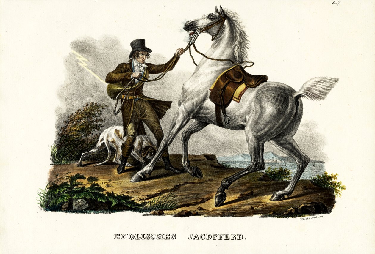 Cavalo inglês do caçador, 1824 de Karl Joseph Brodtmann