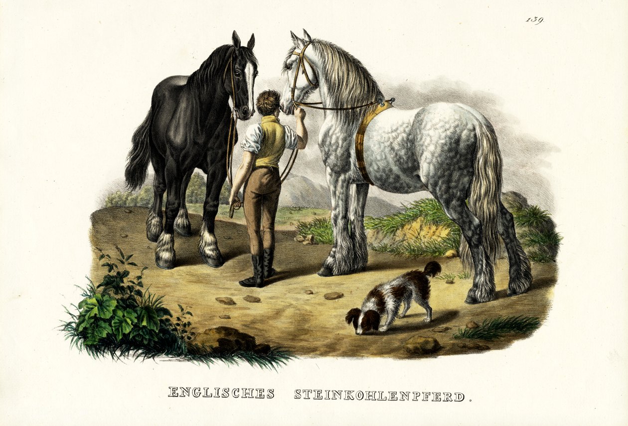Inglês Pit Horse, 1824 de Karl Joseph Brodtmann