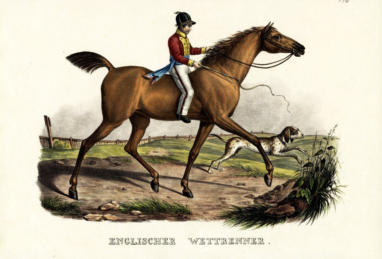Cavalo inglês do piloto, 1824 de Karl Joseph Brodtmann