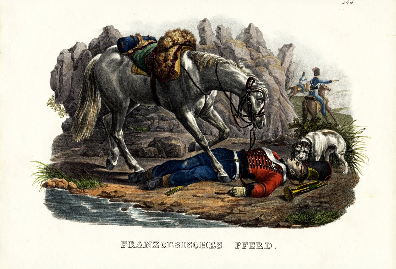 Cavalo Francês, 1824 de Karl Joseph Brodtmann