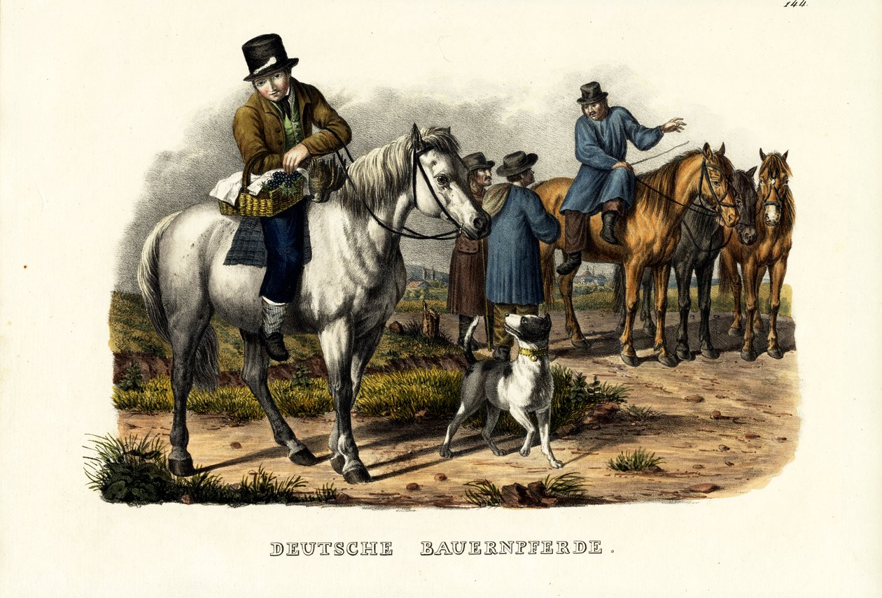 Cavalos Alemães, 1824 de Karl Joseph Brodtmann