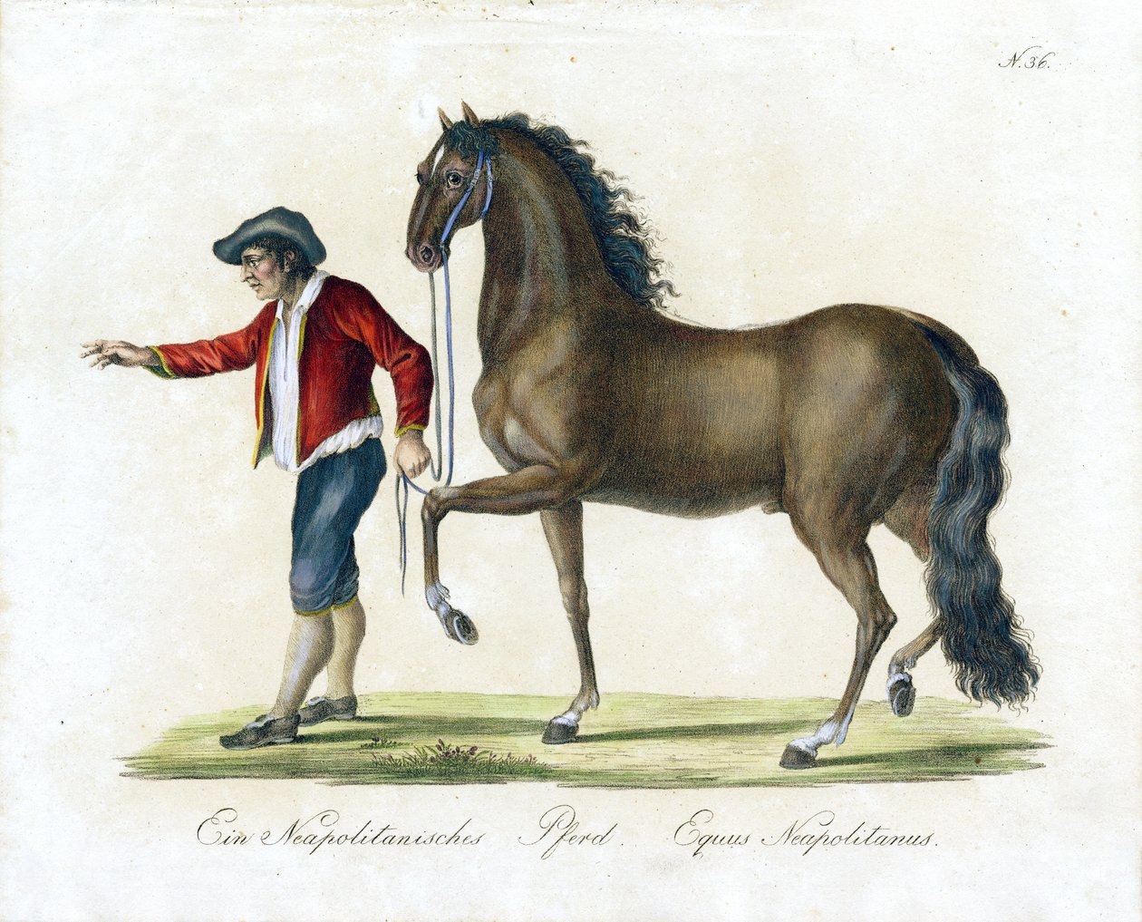  de Karl Joseph Brodtmann