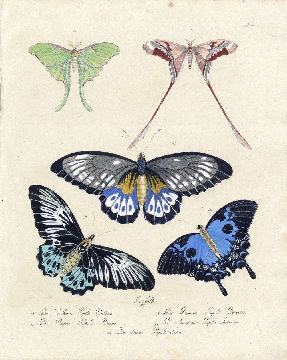  de Karl Joseph Brodtmann