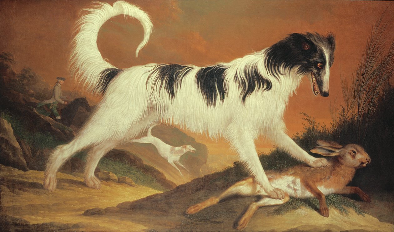 Cão e lebre de Karl Kaspar Pitz