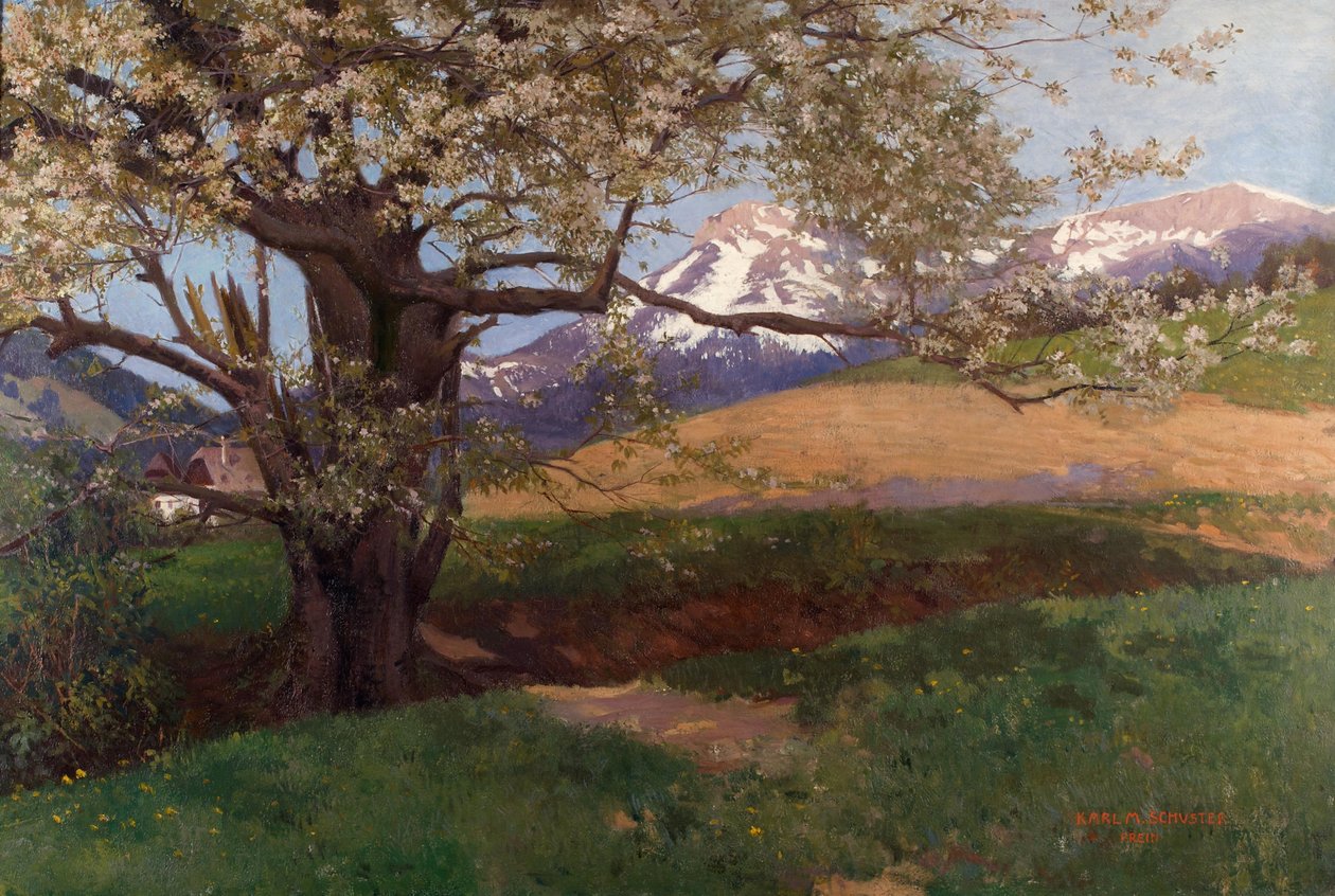 Cerejeira em flor de Karl Maria Schuster
