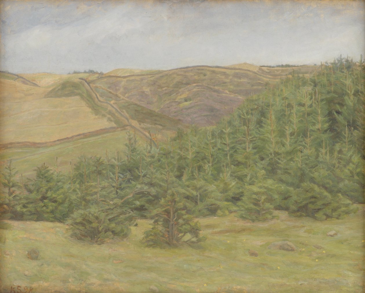 Svanninge Hills, Funen de Karl Schou