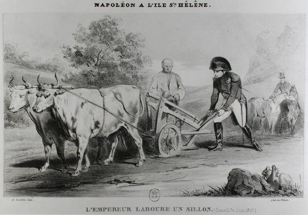 Napoleão (1769-1821) em Santa Helena, gravada por François le Villain (fl.1819-22) de Karl after Loeillot Hartwig