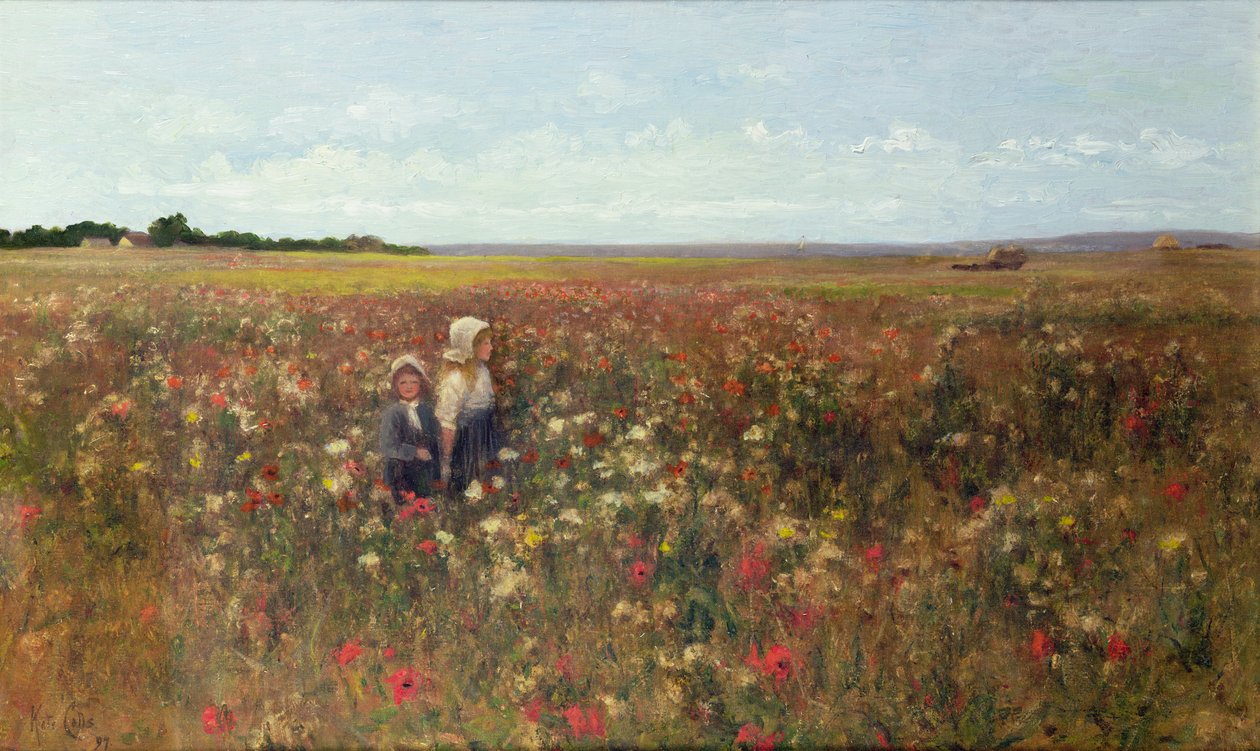 O Poppyfield, 1897 de Kate Colls