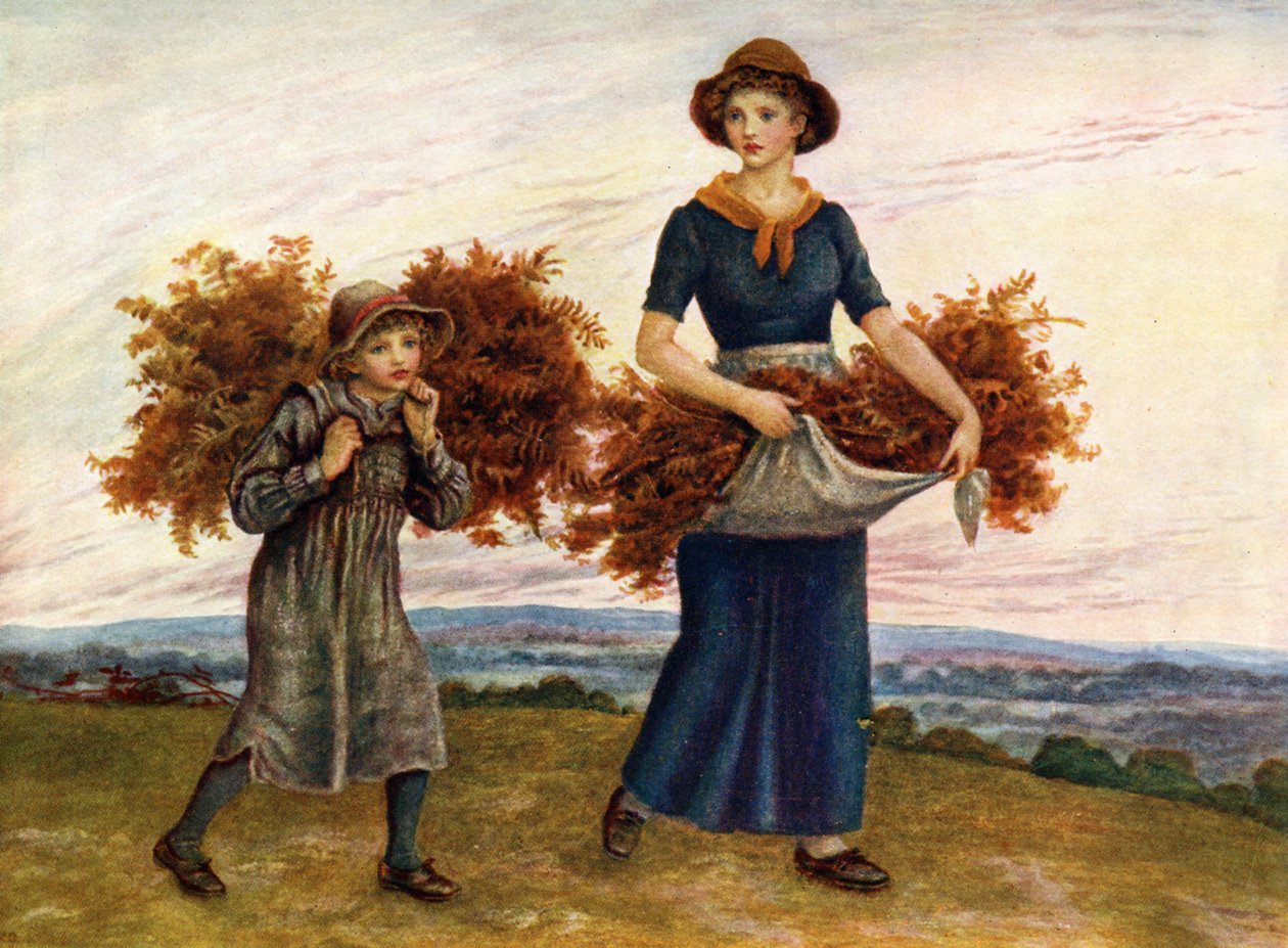Os coletores de samambaias de Kate Greenaway. de Kate Greenaway