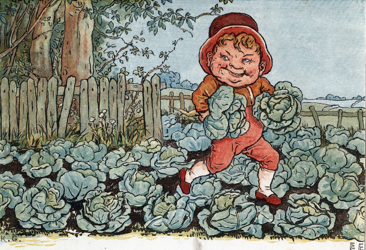 Um gnomo rouba couve de uma horta. (Um duende rouba repolho de uma horta.) Ilustração de Kate Greenaway (1846-1901) do livro de contos e rimas infantis "Under The Window" (1879), editado por Edmund Evans. de Kate Greenaway