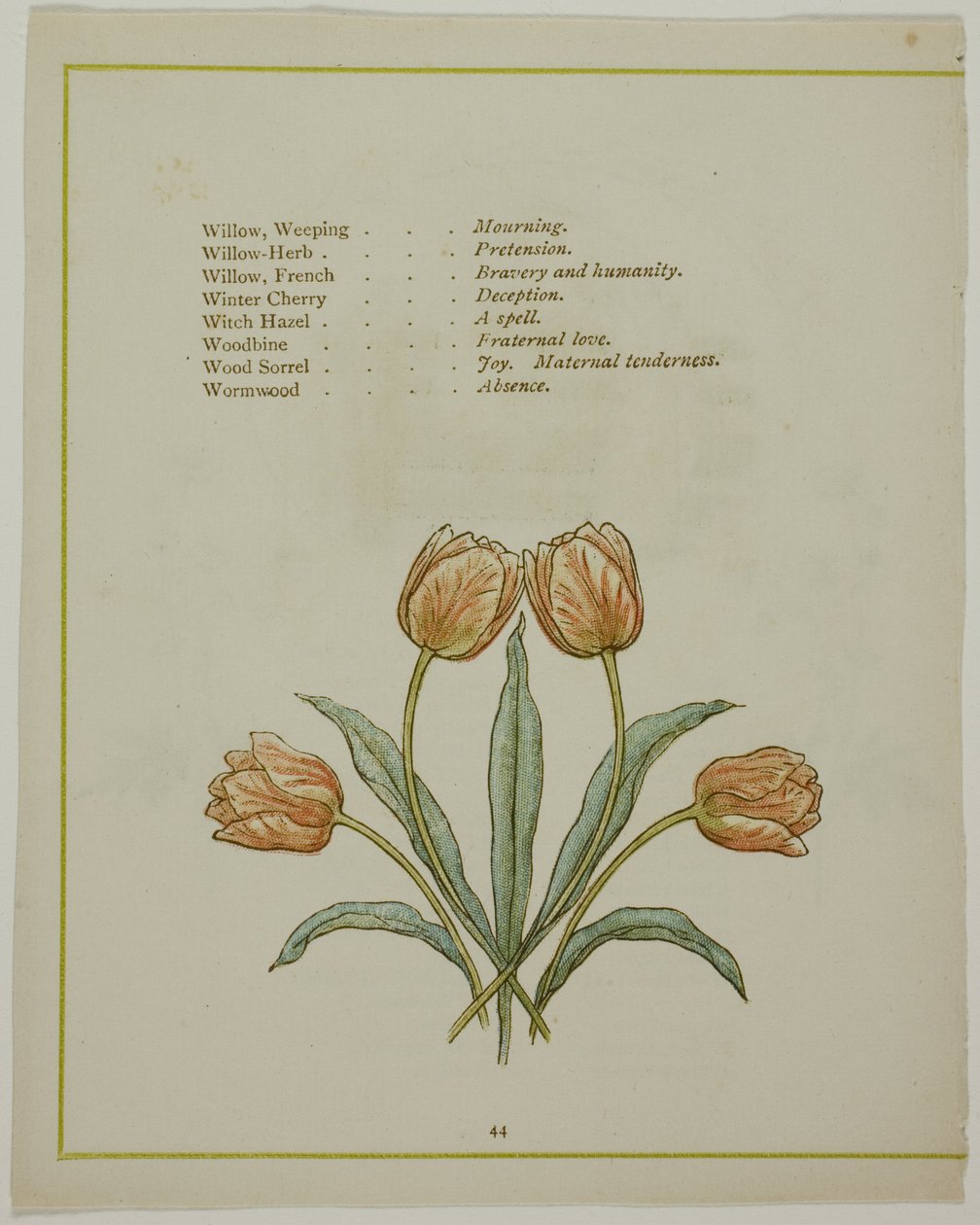 Ilustração decorativa, de The Illuminated Language of Flowers de Kate Greenaway