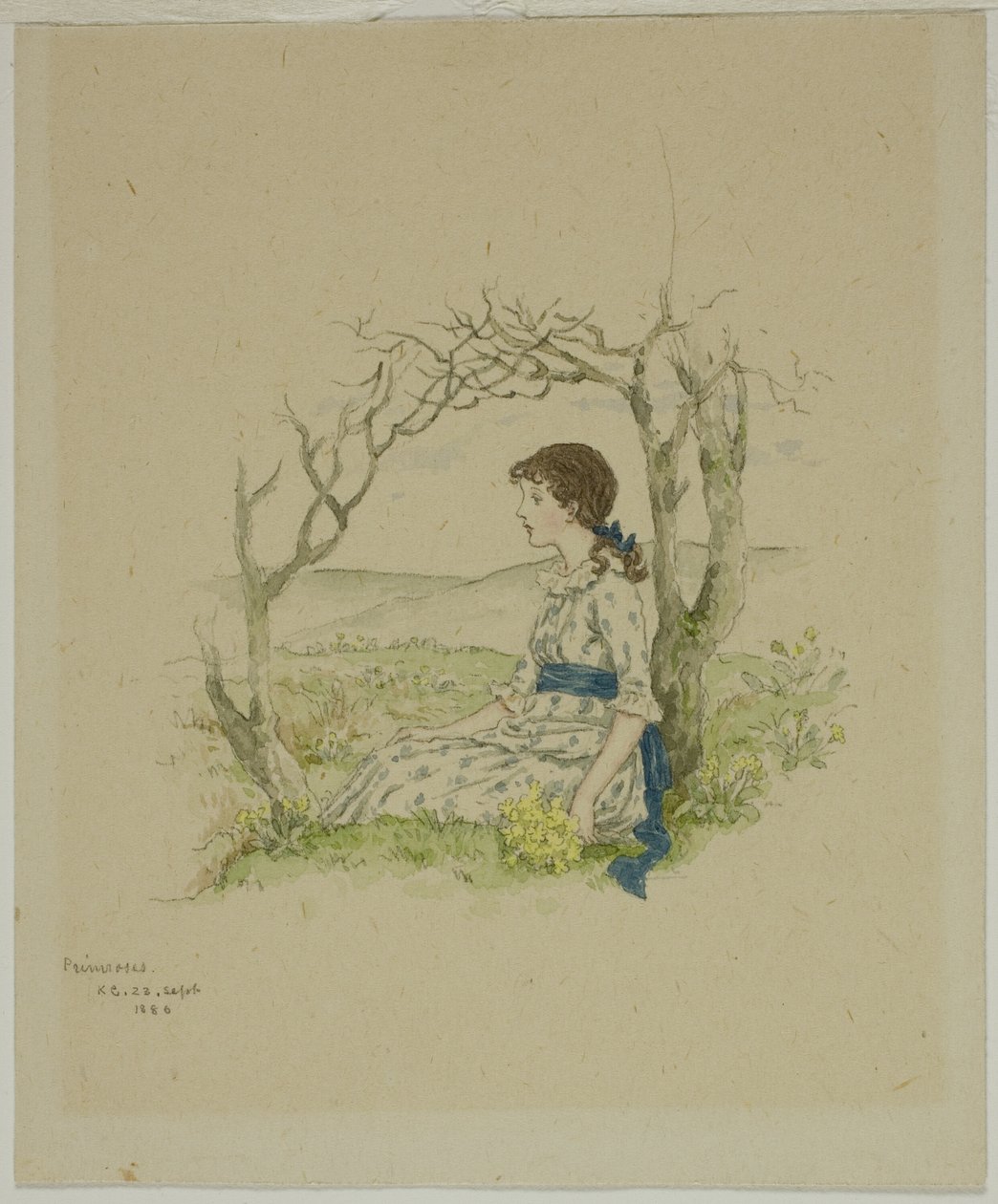 Garota Sentada com Prímulas de Kate Greenaway
